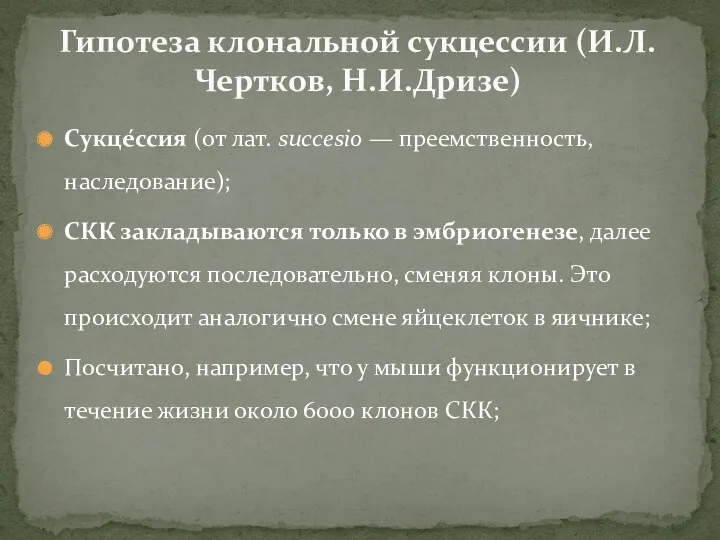 Сукце́ссия (от лат. succesio — преемственность, наследование); СКК закладываются только