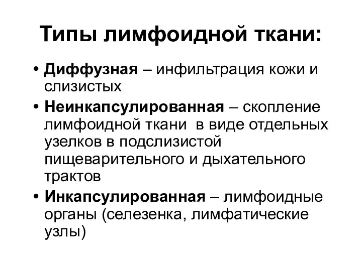 Типы лимфоидной ткани: Диффузная – инфильтрация кожи и слизистых Неинкапсулированная – скопление лимфоидной