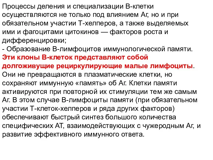 Процессы деления и специализации В-клетки осуществляются не только под влиянием Аг, но и