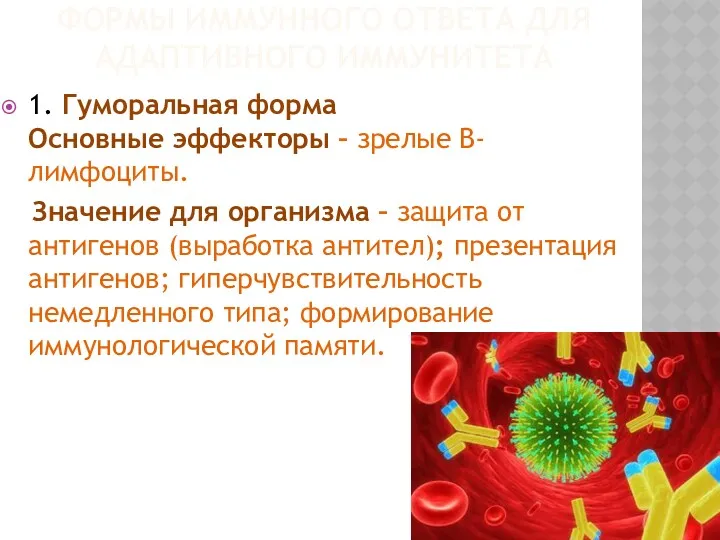 ФОРМЫ ИММУННОГО ОТВЕТА ДЛЯ АДАПТИВНОГО ИММУНИТЕТА 1. Гуморальная форма Основные эффекторы – зрелые