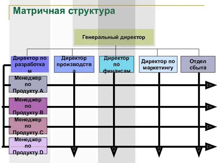 Матричная структура Генеральный директор Директор по разработкам Директор производства Директор