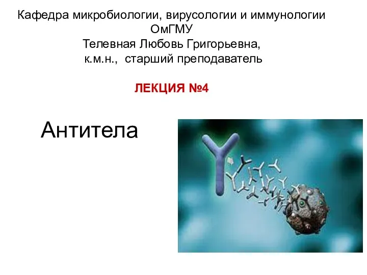 Антитела. Гуморальный и клеточный адаптивный ответ