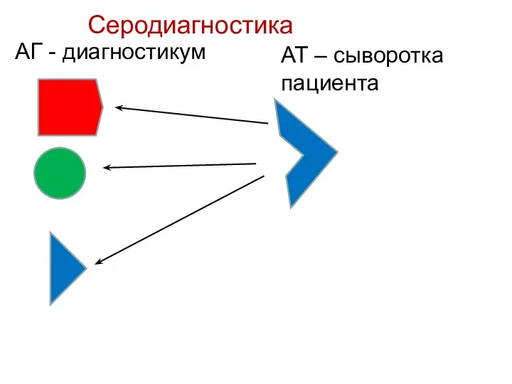 АГ - диагностикум АТ – сыворотка пациента Серодиагностика