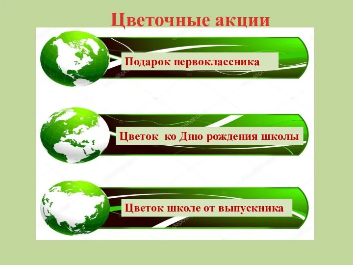 Подарок первоклассника Цветок школе от выпускника Цветок ко Дню рождения школы Цветочные акции