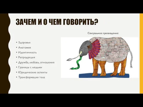 ЗАЧЕМ И О ЧЕМ ГОВОРИТЬ? Здоровье Анатомия Идентичность Репродукция Дружба,