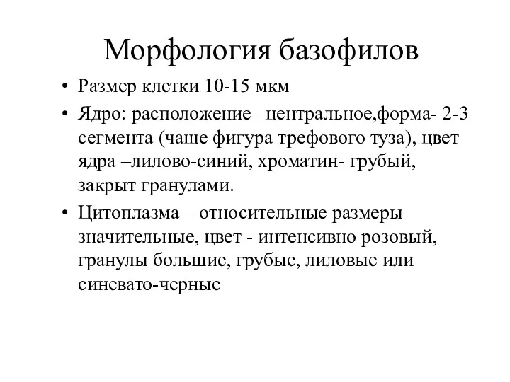 Морфология базофилов Размер клетки 10-15 мкм Ядро: расположение –центральное,форма- 2-3 сегмента (чаще фигура