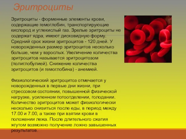 Эритроциты Эритроциты - форменные элементы крови, содержащие гемоглобин, транспортирующие кислород