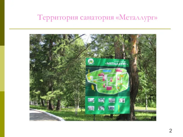 Территория санатория «Металлург» 2