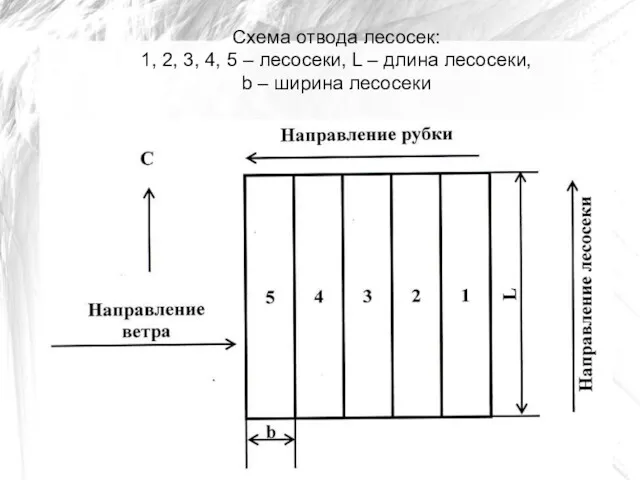 Схема отвода лесосек: 1, 2, 3, 4, 5 – лесосеки,
