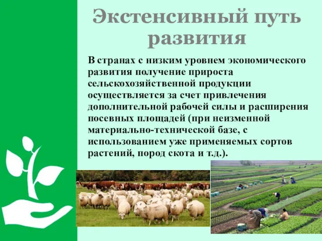 Экстенсивный путь развития В странах с низким уровнем экономического развития