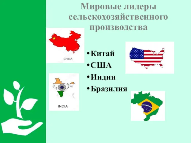 Мировые лидеры сельскохозяйственного производства Китай США Индия Бразилия