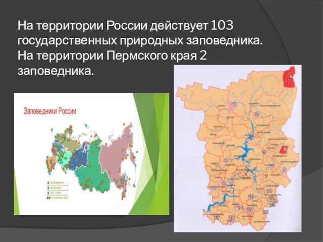 На территории России действует 103 государственных природных заповедника. На территории Пермского края 2 заповедника.