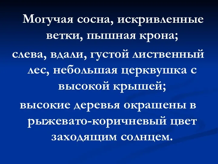 Могучая сосна, искривленные ветки, пышная крона; слева, вдали, густой лиственный