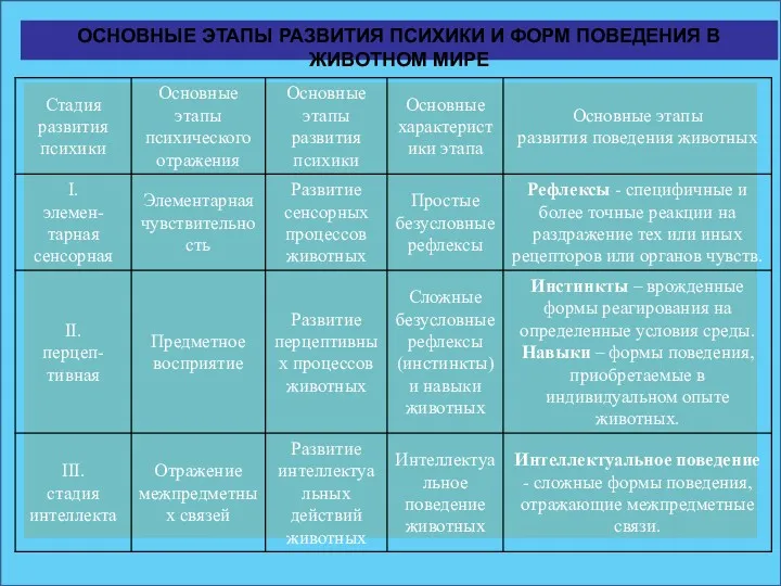 ОСНОВНЫЕ ЭТАПЫ РАЗВИТИЯ ПСИХИКИ И ФОРМ ПОВЕДЕНИЯ В ЖИВОТНОМ МИРЕ