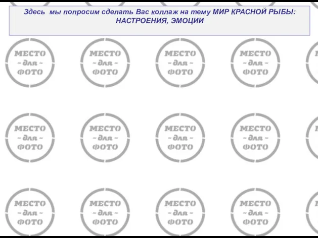 Здесь мы попросим сделать Вас коллаж на тему МИР КРАСНОЙ РЫБЫ: НАСТРОЕНИЯ, ЭМОЦИИ