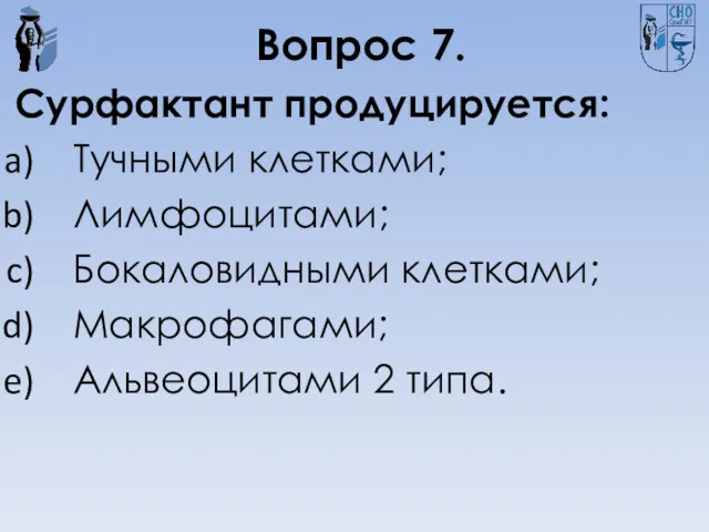 Вопрос 7. Сурфактант продуцируется: Тучными клетками; Лимфоцитами; Бокаловидными клетками; Макрофагами; Альвеоцитами 2 типа.