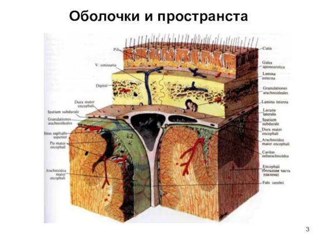 Оболочки и пространста