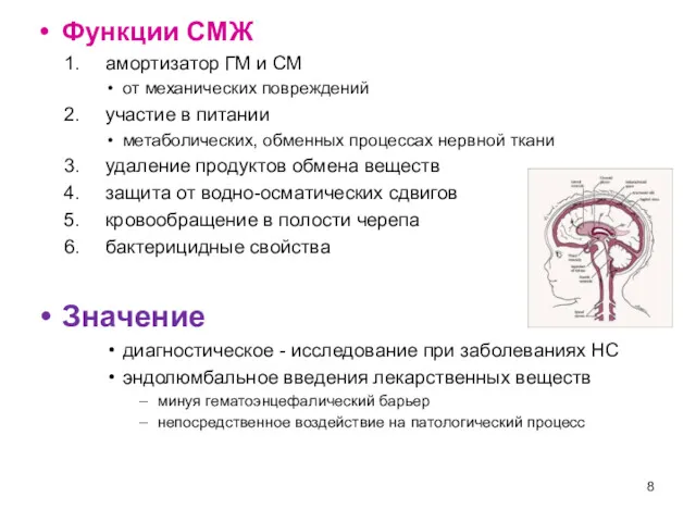 Функции СМЖ амортизатор ГМ и СМ от механических повреждений участие