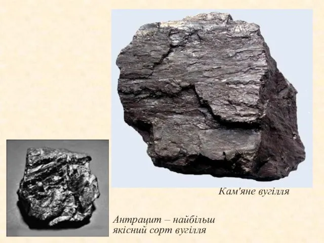 Кам'яне вугілля Антрацит – найбільш якісний сорт вугілля 4 Кам'яне вугілля