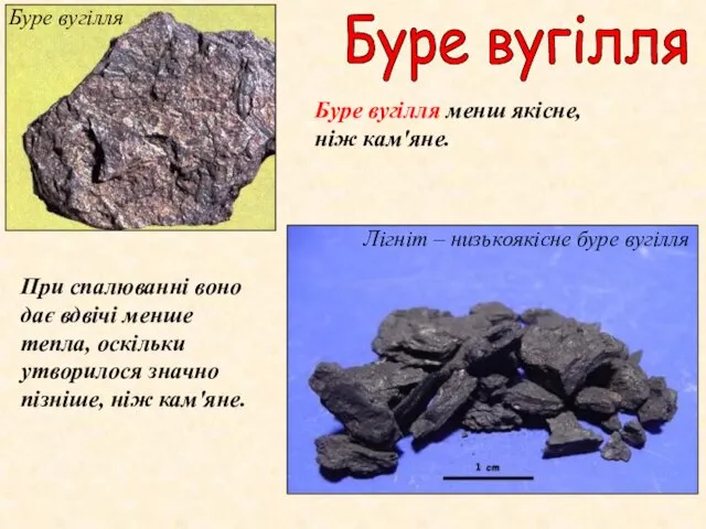 Буре вугілля Лігніт – низькоякісне буре вугілля Буре вугілля Буре