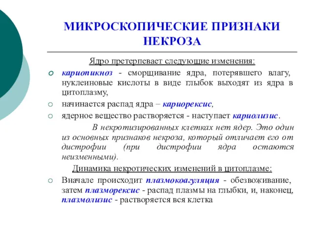 МИКРОСКОПИЧЕСКИЕ ПРИЗНАКИ НЕКРОЗА Ядро претерпевает следующие изменения: кариопикноз - сморщивание