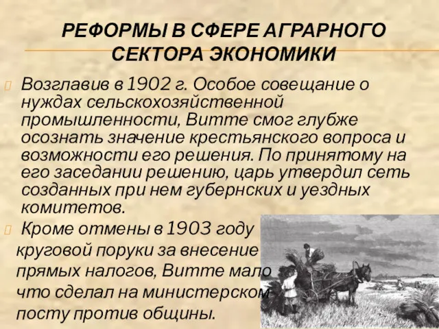 РЕФОРМЫ В СФЕРЕ АГРАРНОГО СЕКТОРА ЭКОНОМИКИ Возглавив в 1902 г.