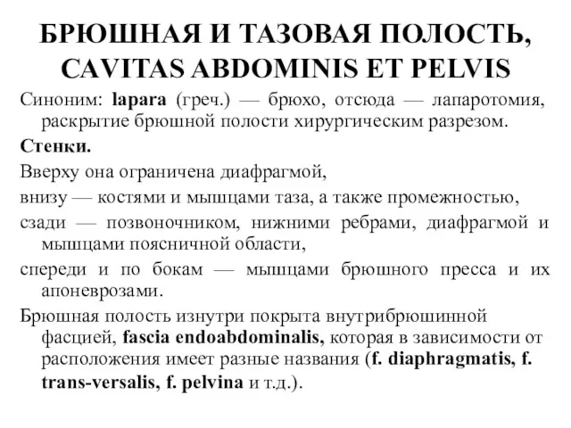 БРЮШНАЯ И ТАЗОВАЯ ПОЛОСТЬ, САVITAS ABDOMINIS ET PELVIS Синоним: lapara (греч.) — брюхо,