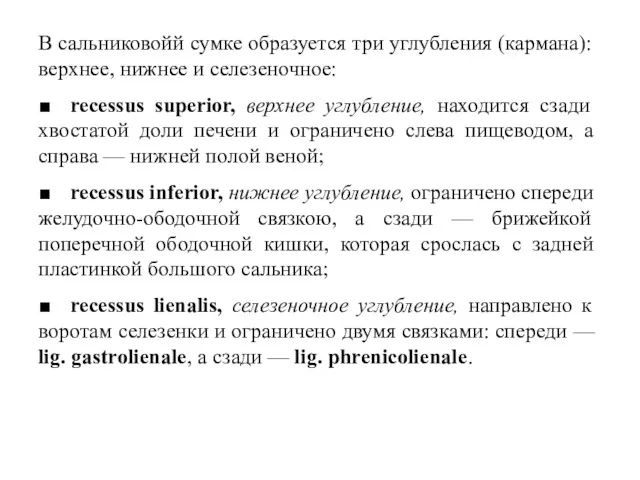 В сальниковойй сумке образуется три углубления (кармана): верхнее, нижнее и