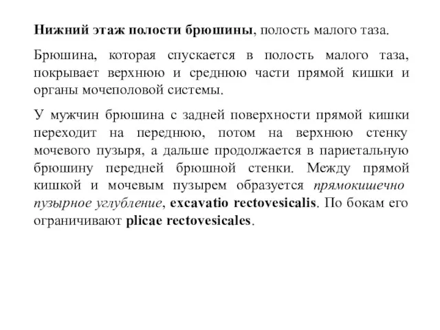 Нижний этаж полости брюшины, полость малого таза. Брюшина, которая спускается в полость малого