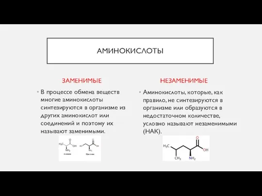 ЗАМЕНИМЫЕ В процессе обмена веществ многие аминокислоты синтезируются в организме