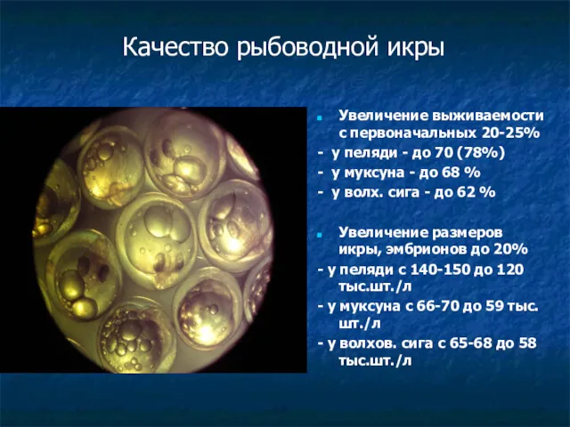 Качество рыбоводной икры Увеличение выживаемости с первоначальных 20-25% - у