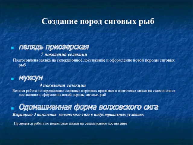 Создание пород сиговых рыб пелядь приозерская 7 поколений селекции Подготовлена