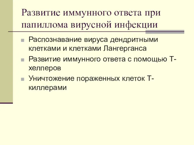 Развитие иммунного ответа при папиллома вирусной инфекции Распознавание вируса дендритными клетками и клетками