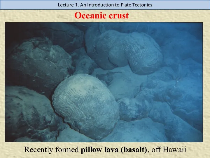 Lecture 1. An Introduction to Plate Tectonics Recently formed pillow lava (basalt), off Hawaii Oceanic crust