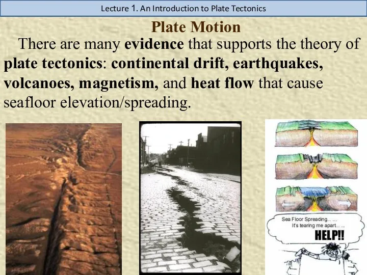 Plate Motion There are many evidence that supports the theory of plate tectonics: