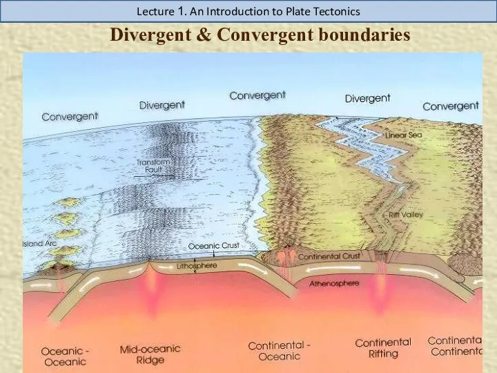 Divergent & Convergent boundaries Lecture 1. An Introduction to Plate Tectonics