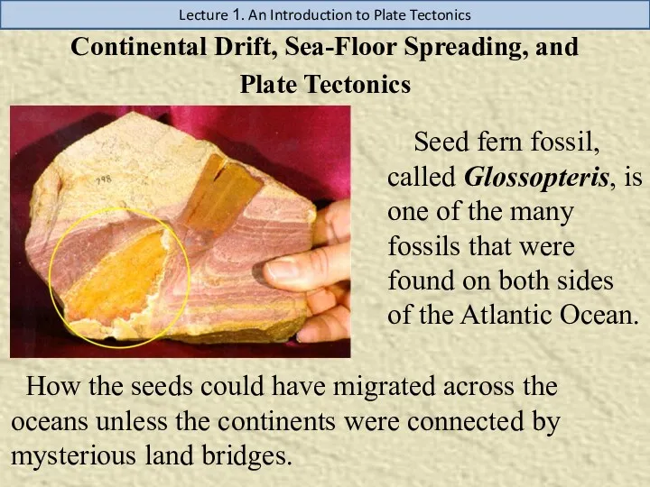 Lecture 1. An Introduction to Plate Tectonics Continental Drift, Sea-Floor