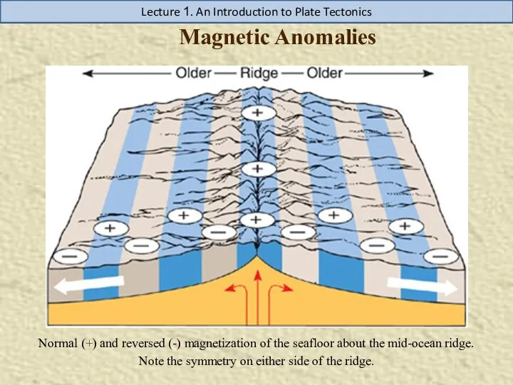 Magnetic Anomalies Normal (+) and reversed (-) magnetization of the