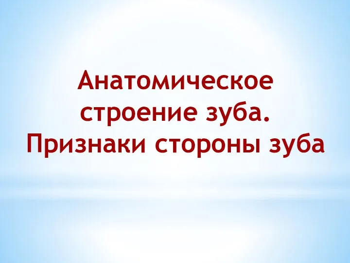 Анатомическое строение зуба. Признаки стороны зуба