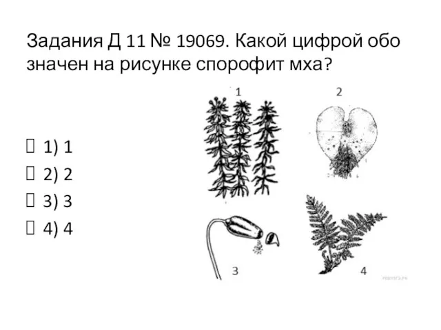 Задания Д 11 № 19069. Какой циф­рой обо­зна­чен на ри­сун­ке