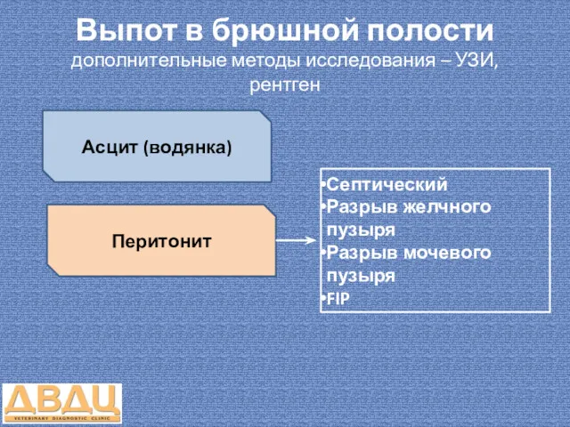 Выпот в брюшной полости дополнительные методы исследования – УЗИ, рентген