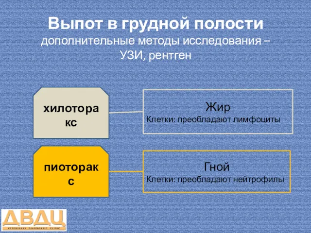 Выпот в грудной полости дополнительные методы исследования – УЗИ, рентген