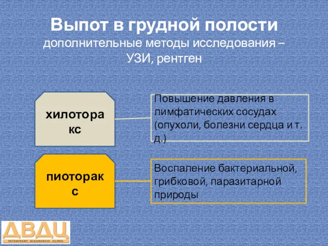 Выпот в грудной полости дополнительные методы исследования – УЗИ, рентген