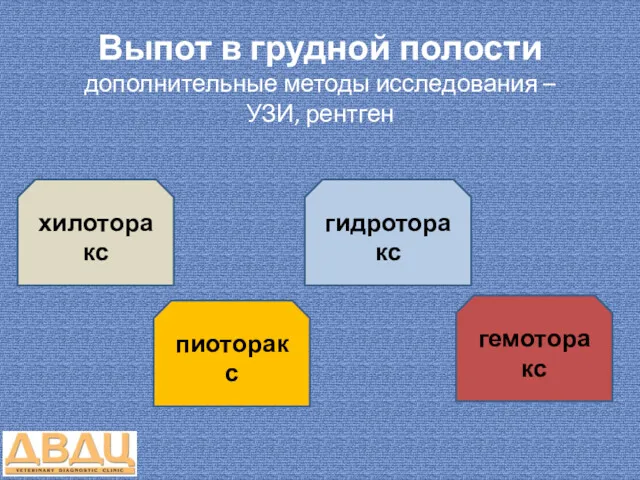 Выпот в грудной полости дополнительные методы исследования – УЗИ, рентген хилоторакс пиоторакс гидроторакс гемоторакс