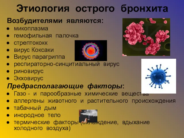 Этиология острого бронхита Возбудителями являются: микоплазма гемофильная палочка стрептококк вирус