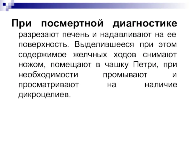 При посмертной диагностике разрезают печень и надавливают на ее поверхность. Выделившееся при этом