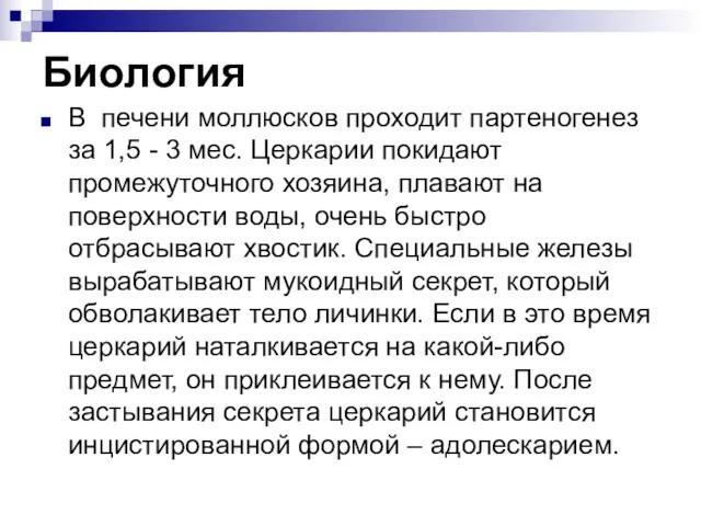 Биология В печени моллюсков проходит партеногенез за 1,5 - 3 мес. Церкарии покидают