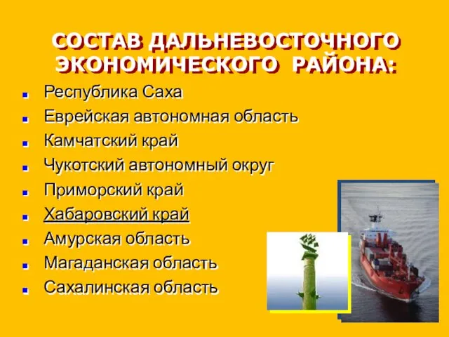 СОСТАВ ДАЛЬНЕВОСТОЧНОГО ЭКОНОМИЧЕСКОГО РАЙОНА: Республика Саха Еврейская автономная область Камчатский