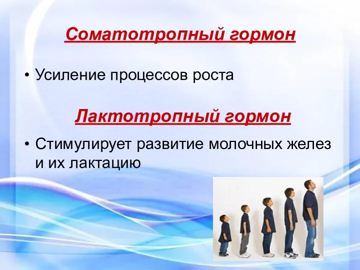 Соматотропный гормон Усиление процессов роста Лактотропный гормон Стимулирует развитие молочных желез и их лактацию