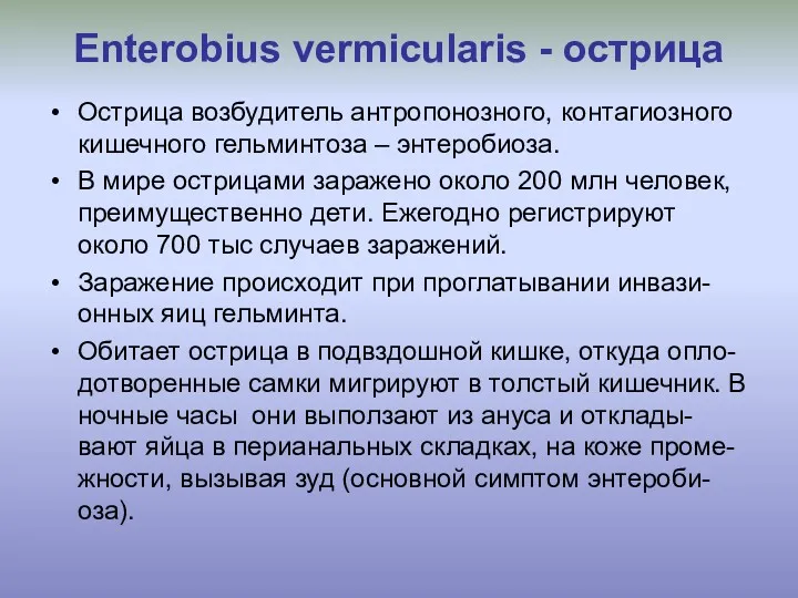 Enterobius vermicularis - острица Острица возбудитель антропонозного, контагиозного кишечного гельминтоза